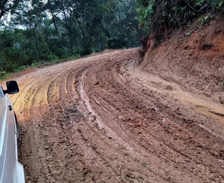 "Material colocado foi de m&aacute; qualidade", afirma Nene