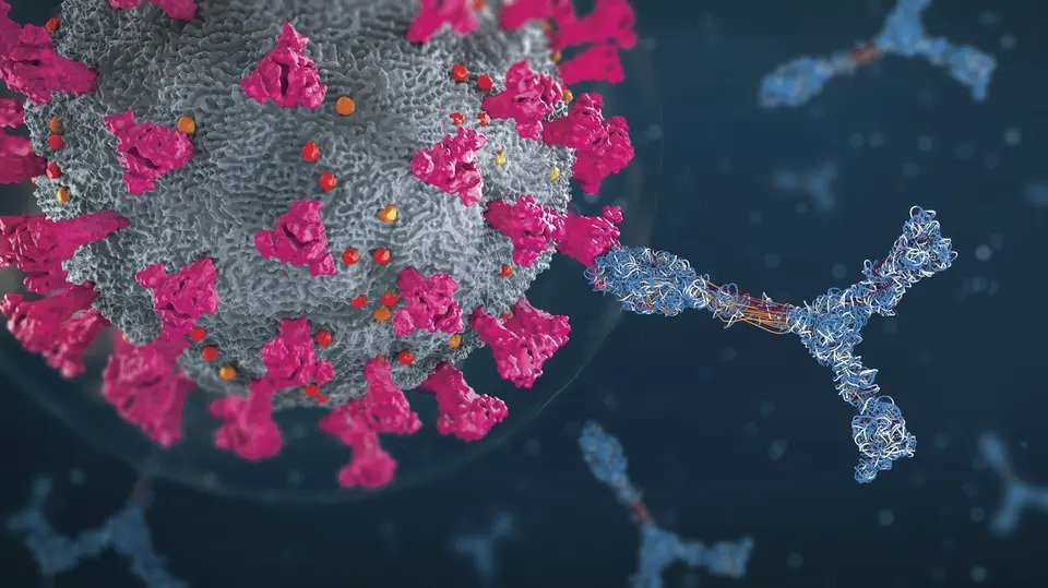 Covid-19: N&uacute;meros s&atilde;o atualizados em novo boletim epidemiol&oacute;gico semanal
