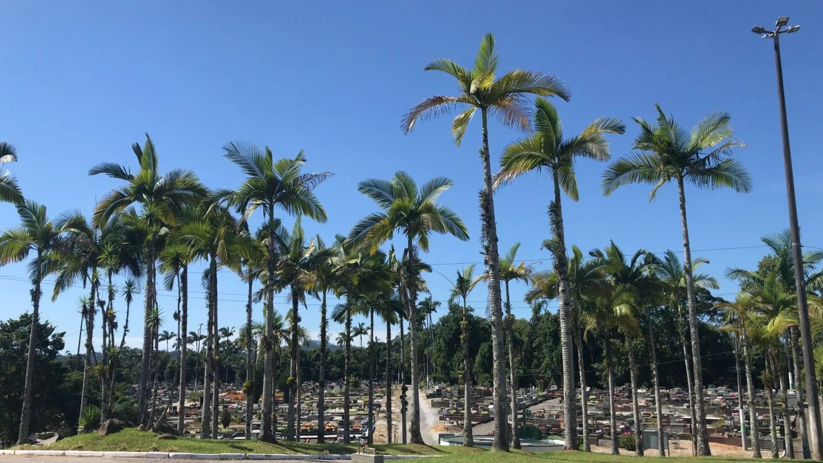 Secretarias de Obras realiza de forma constante a manuten&ccedil;&atilde;o do Cemit&eacute;rio Parque da Saudade