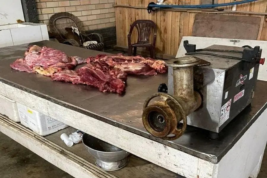 520 quilos de carne de cavalo &eacute; apreendida em CTG