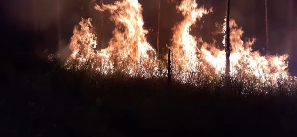 Bombeiros combatem inc&ecirc;ndio em vegeta&ccedil;&atilde;o no bairro Limeira Baixa
