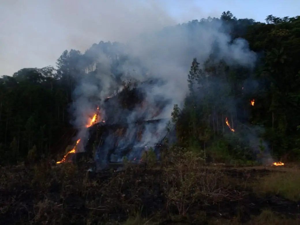 Bombeiros combatem inc&ecirc;ndio em vegeta&ccedil;&atilde;o no bairro Po&ccedil;o Fundo