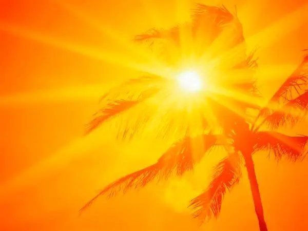 Mais calor para as próximas semanas