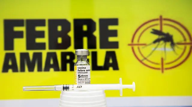 SC registra primeira morte por febre amarela