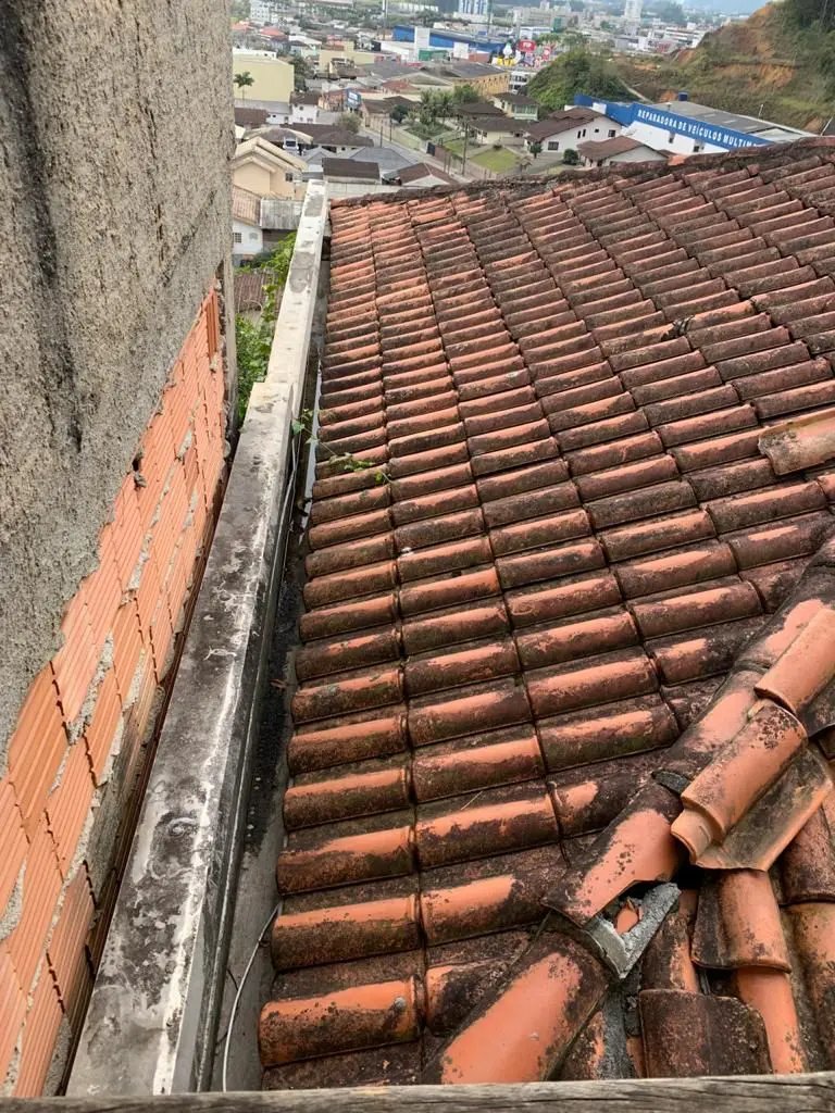 Dengue: focos em Brusque totalizam 1.400 no ano