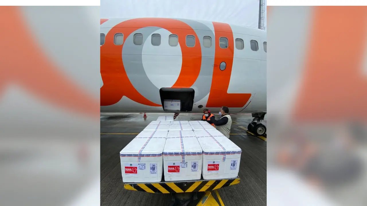Santa Catarina recebe mais 156.840 mil doses de vacina contra a Covid-19