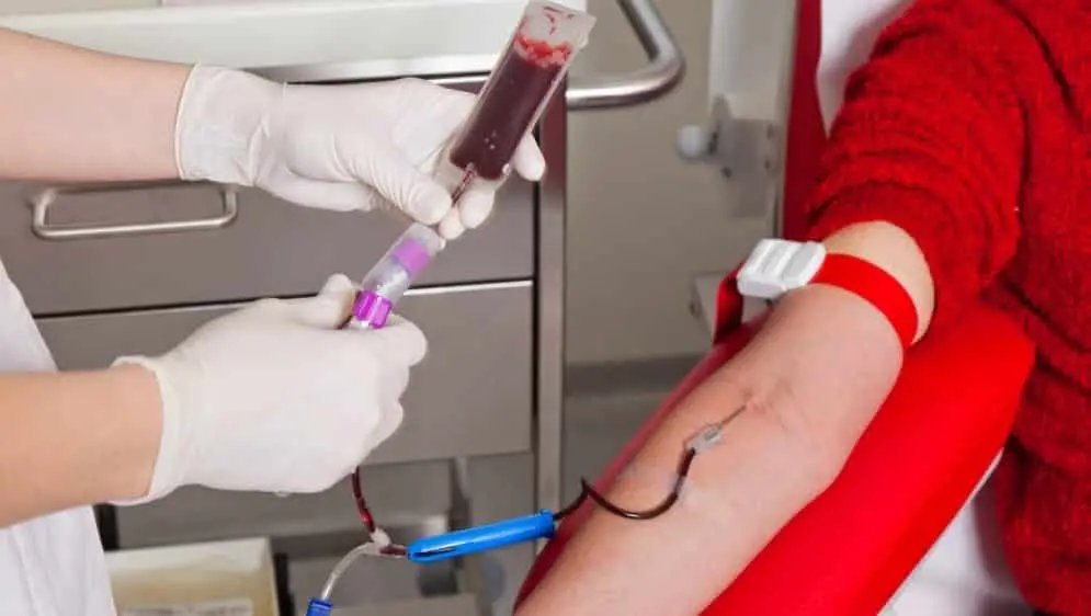 Confira as datas dispon&iacute;veis para a doa&ccedil;&atilde;o de sangue no Hemosc