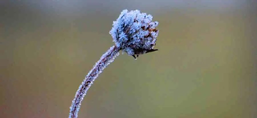 Frio intenso deve permanecer at&eacute; quarta-feira