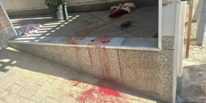 Briga entre vizinhos termina com ferimentos graves