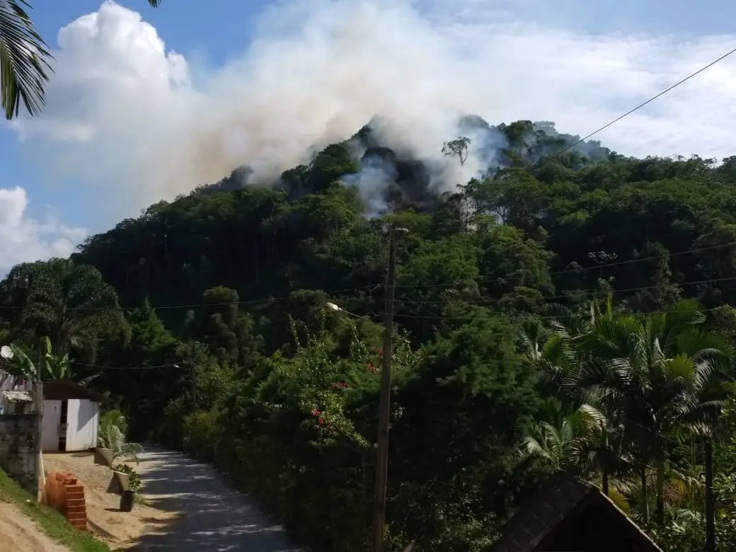 Inc&ecirc;ndio atinge vegeta&ccedil;&atilde;o no bairro Dom Joaquim