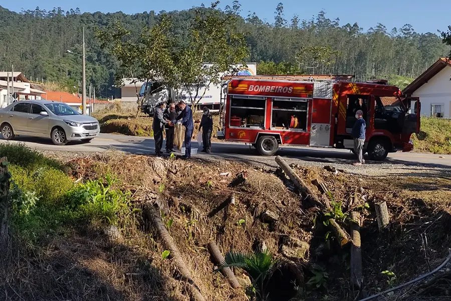 Bombeiros auxiliam animal silvestre ferido