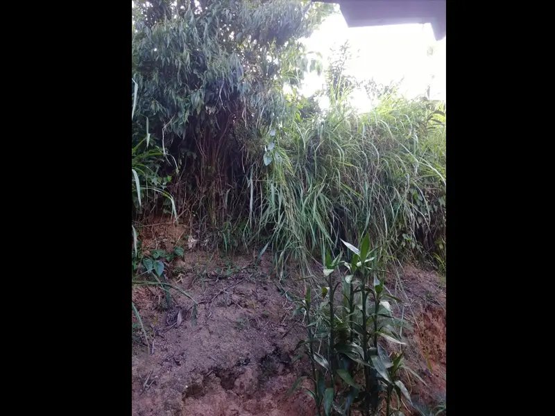Idoso sofre fraturas ao cair de seis metros de altura