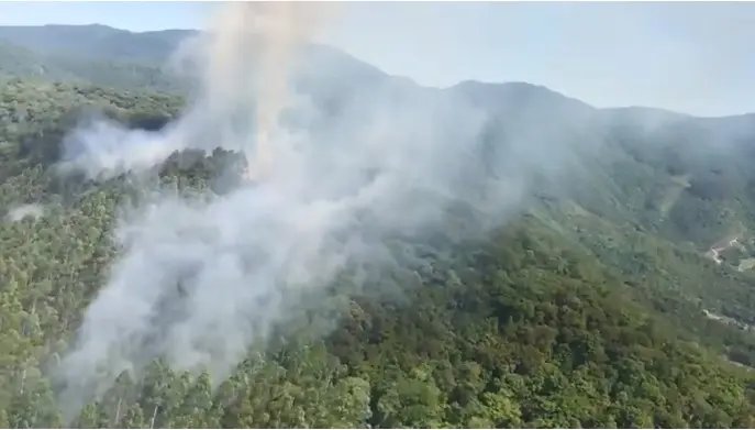 V&iacute;deo: Inc&ecirc;ndio de grandes propor&ccedil;&otilde;es atinge vegeta&ccedil;&atilde;o no bairro Limeira