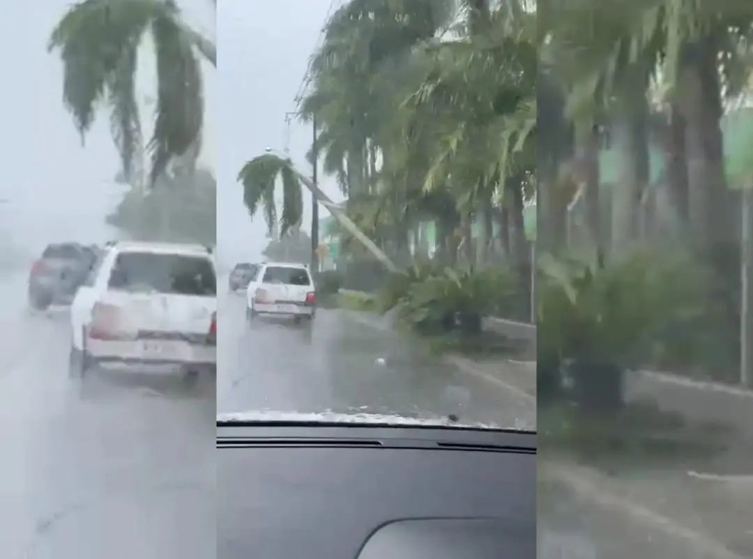 (V&Iacute;DEO) Chuva derruba &aacute;rvores, postes e causa alagamentos em Brusque.