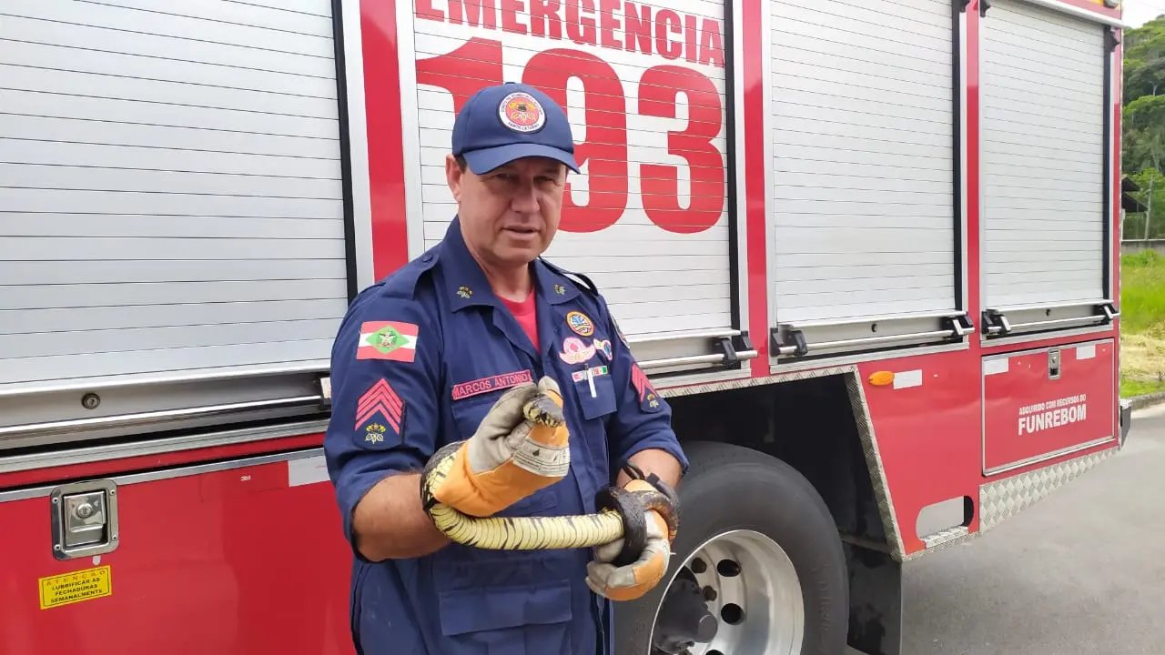 Bombeiros capturam cobra em resid&ecirc;ncia