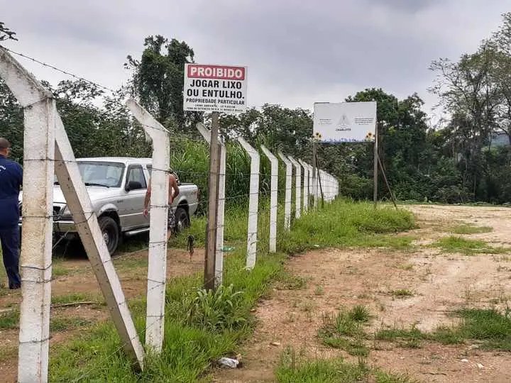 Homem morre ap&oacute;s ser atacado por abelhas