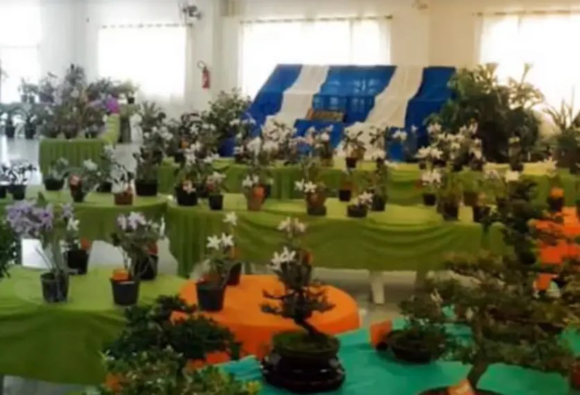 Abapo promove Exposi&ccedil;&atilde;o de Orqu&iacute;deas no fim de semana