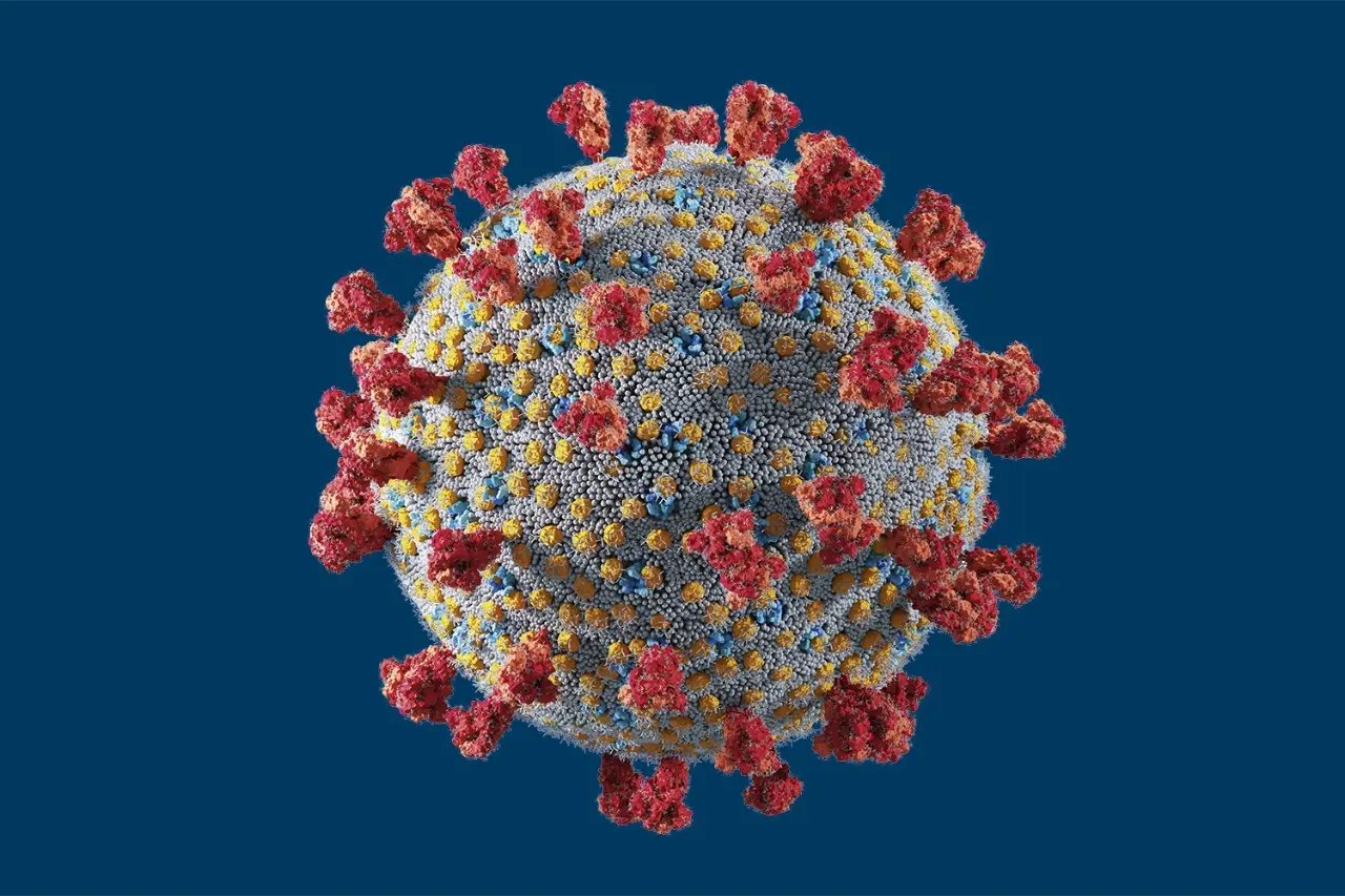Covid-19: Sa&uacute;de atualiza n&uacute;meros com o boletim epidemiol&oacute;gico da semana
