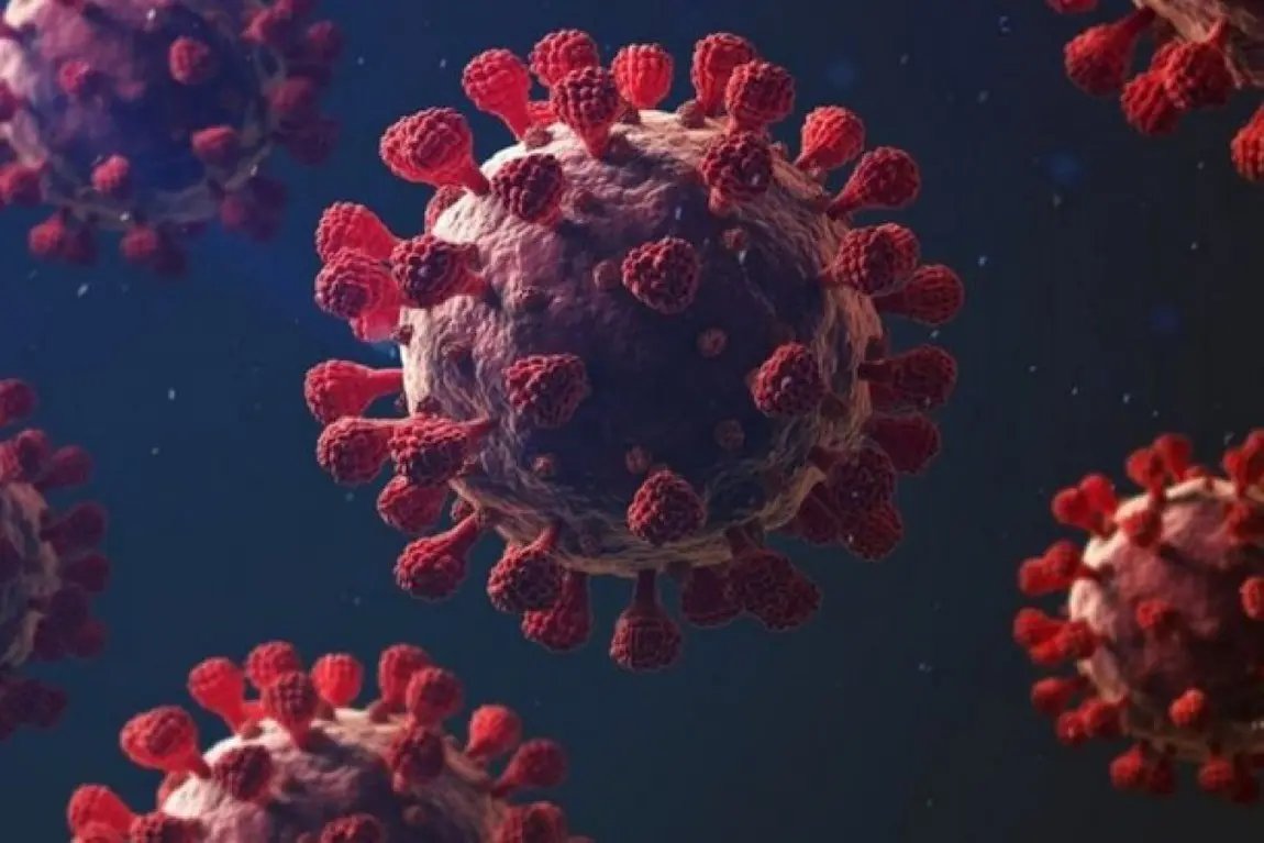 Brusque registra 42 novos casos de Covid-19 e mais um &oacute;bito