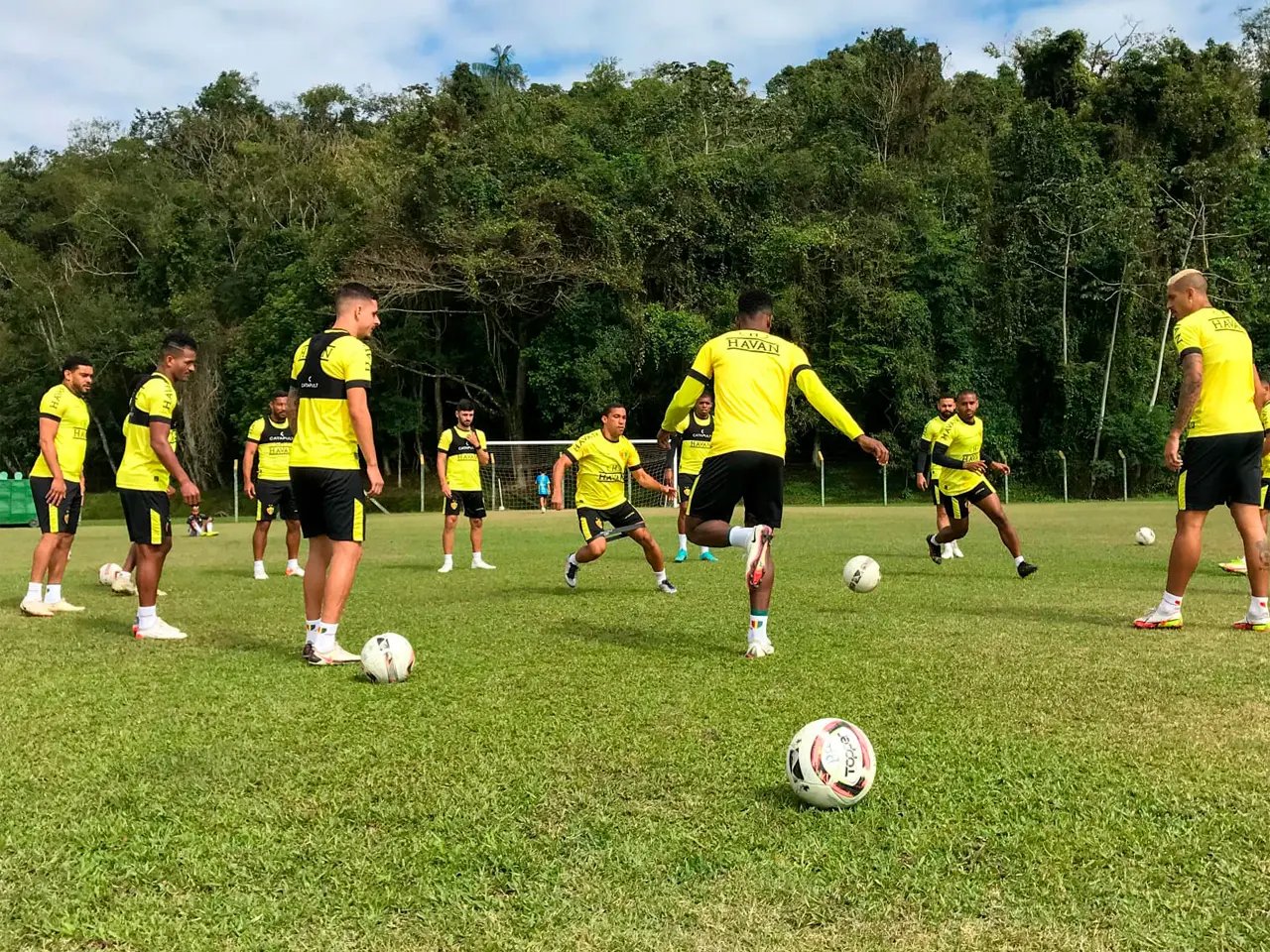 Na luta contra a degola, Brusque inicia prepara&ccedil;&atilde;o para encarar o Sport