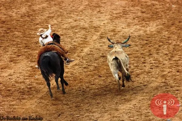 Brusque se prepara para o 29º Rodeio Crioulo