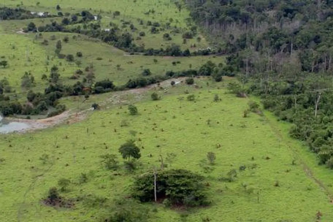 Come&ccedil;a hoje prazo para entrega da declara&ccedil;&atilde;o de propriedade rural