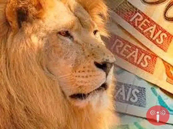 Restituição do segundo lote é liberada