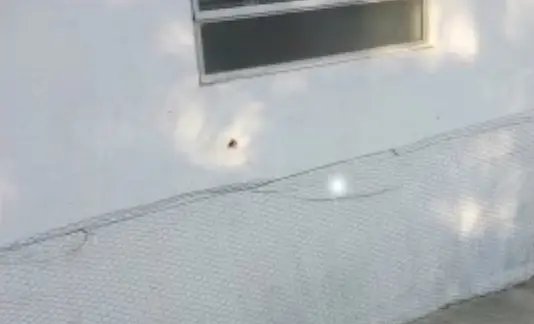 Presídio de Tijucas é alvo de tiros durante a madrugada
