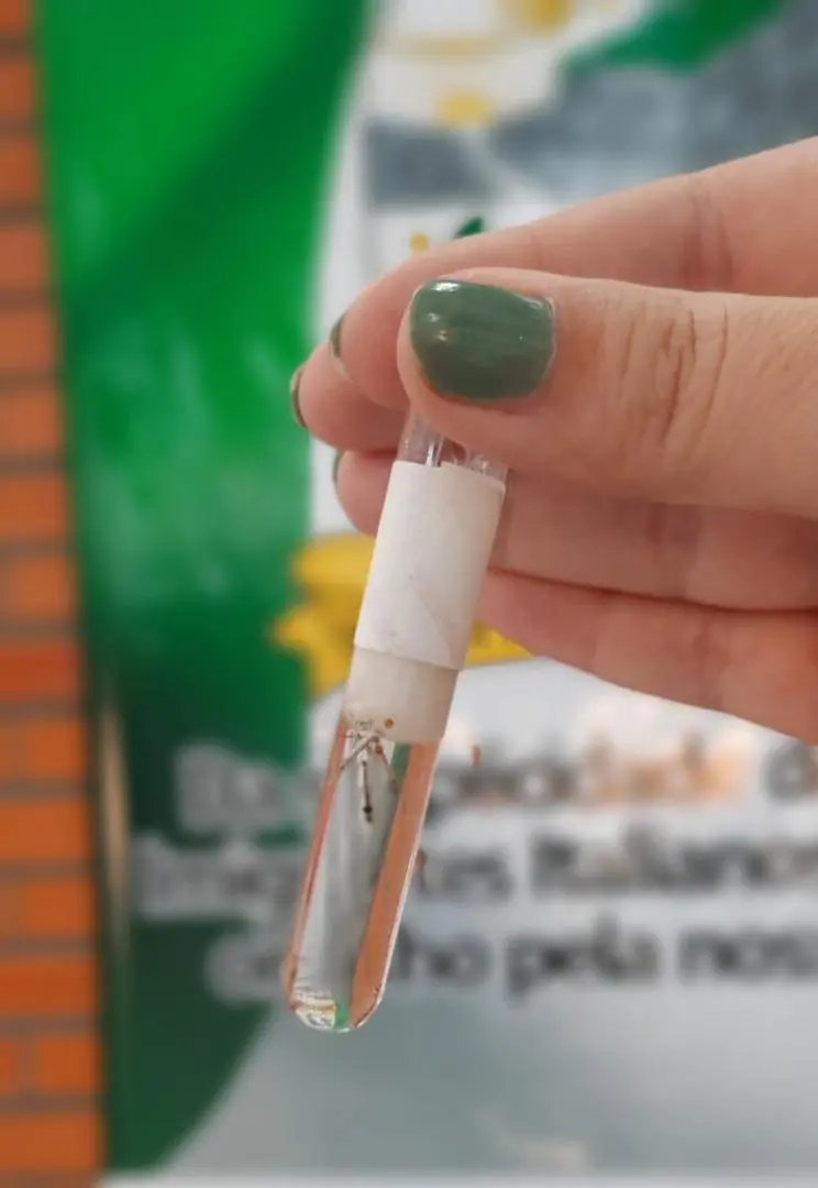 Primeiro foco de Aedes Aegypti &eacute; encontrado em Botuver&aacute; em 2021