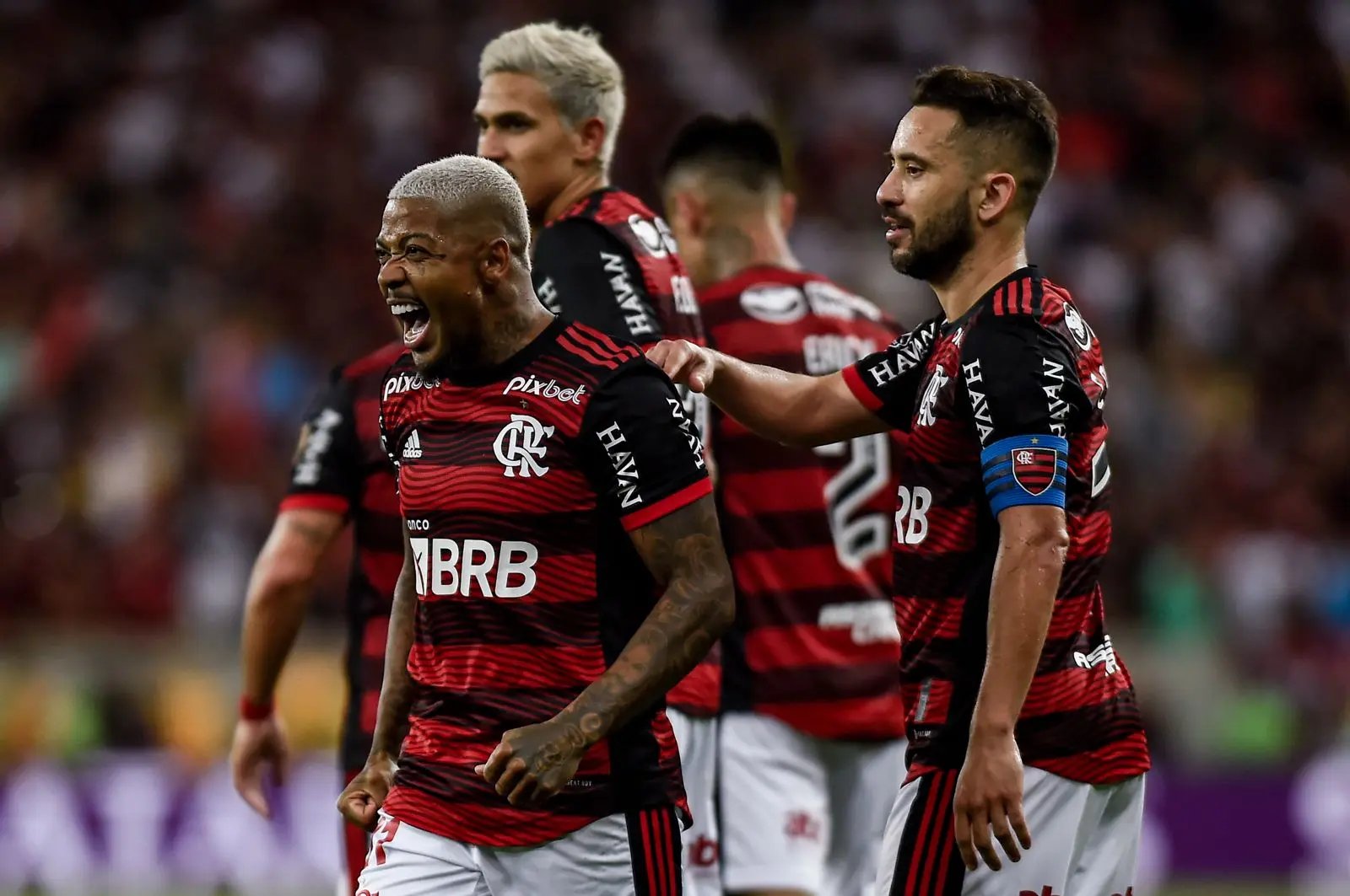 Havan e Flamengo levar&atilde;o torcedores para conhecerem o Ninho do Urubu, no Rio de Janeiro