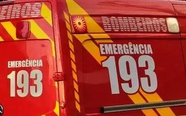 Serpente pe&ccedil;onhenta &eacute; capturada por Bombeiros