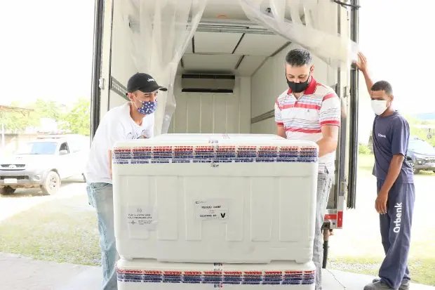 Vacina&ccedil;&atilde;o em SC: Doses da Coronavac recebidas nesta quarta come&ccedil;am a ser distribu&iacute;das