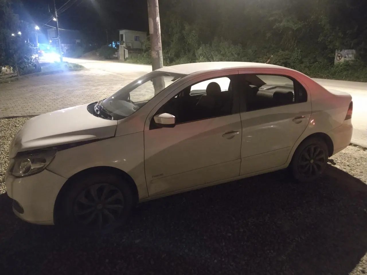 Motorista freia para cachorro e provoca acidente