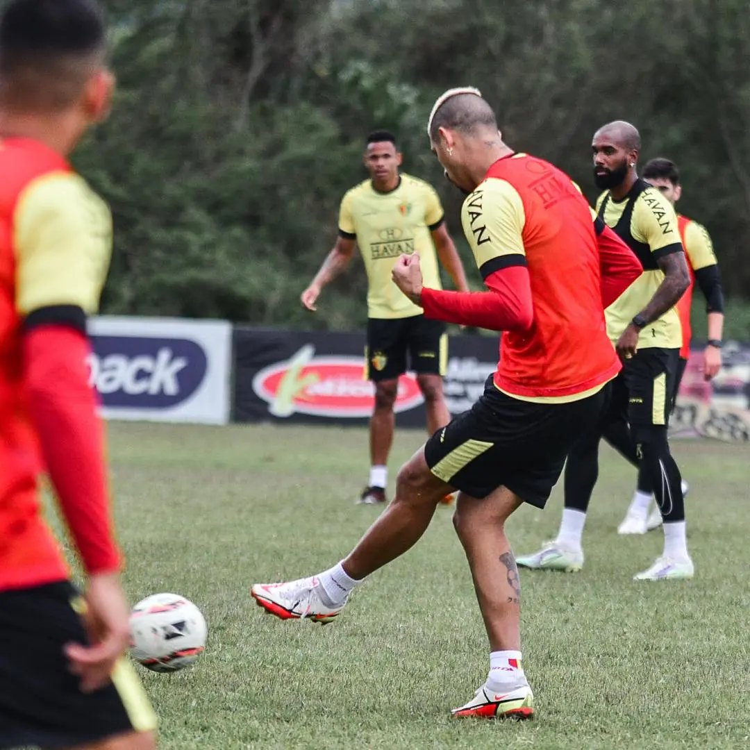 Brusque se reapresenta e foca no Londrina
