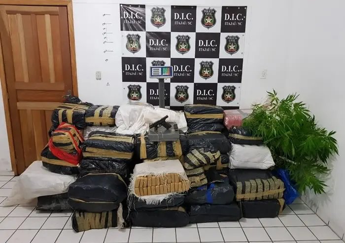 Polícia Civil apreende 1,5 tonelada de maconha