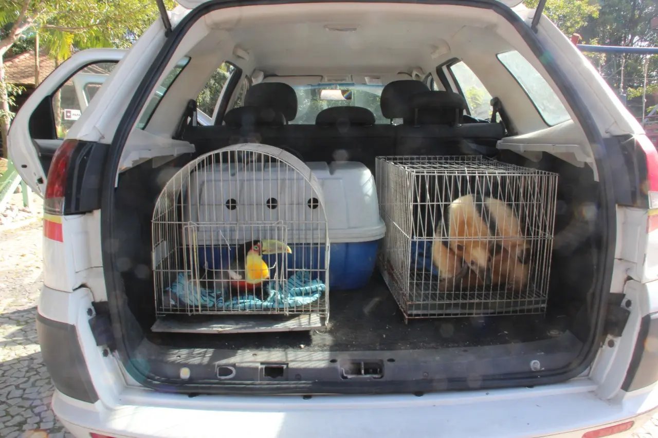 Parque Zoobot&acirc;nico de Brusque recebeu novos moradores 