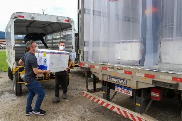 Vacina&ccedil;&atilde;o: doses que chegaram ao estado s&atilde;o distribu&iacute;das 