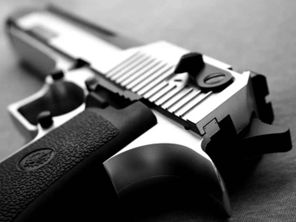 SC lidera compra de armas