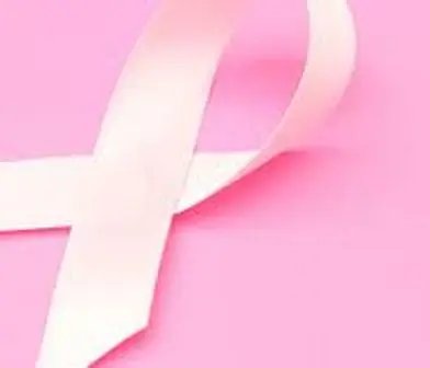 Rede Feminina de Nova Trento realiza encontro