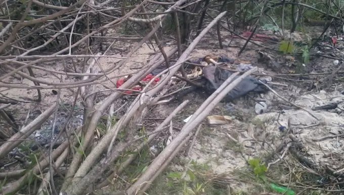 Ossada humana é encontrada durante a manhã