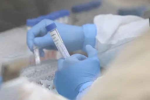Brusque tem 11 pacientes internados na UTI por Covid-19