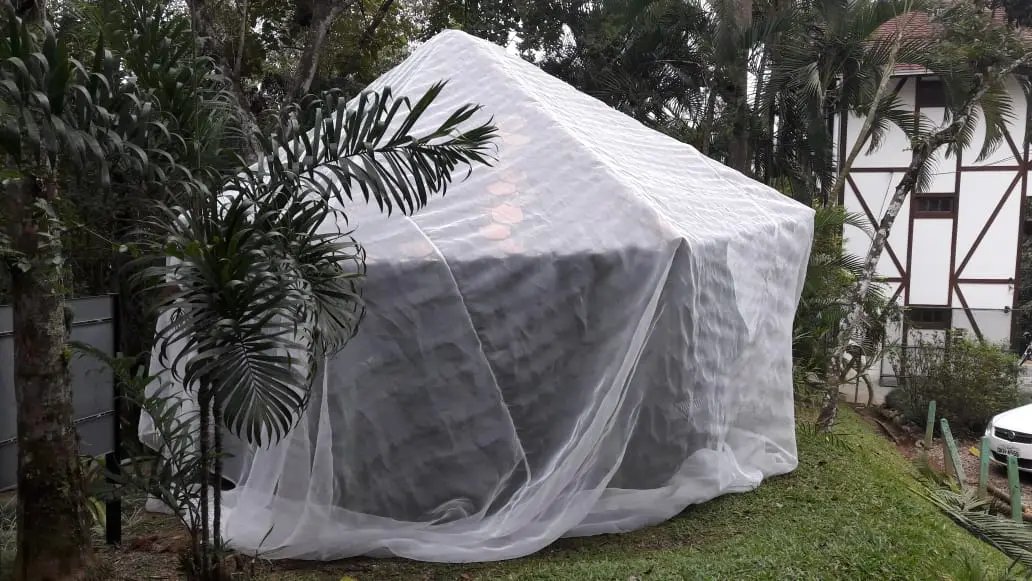 Zoobot&acirc;nico instala telas mosquiteiras para proteger primatas 