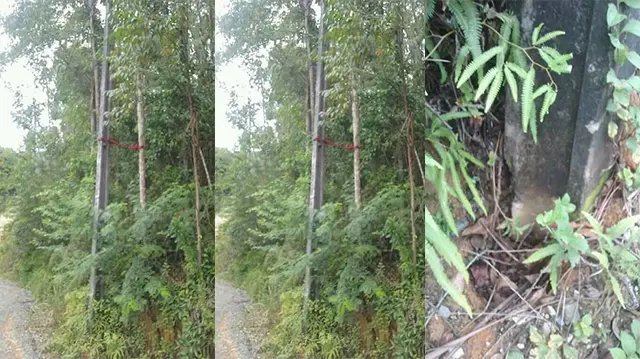 Poste quebrado &eacute; sustentado por corda em Botuver&aacute;