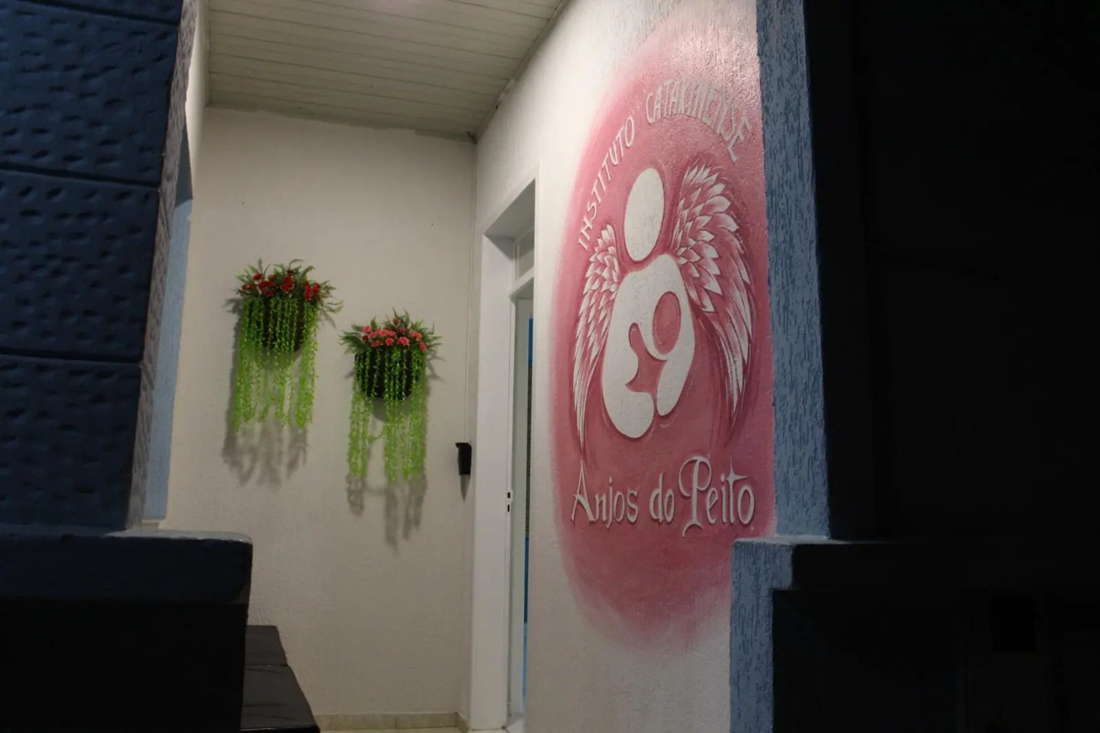 Instituto Anjos do Peito elabora rifa para arrecadar recursos