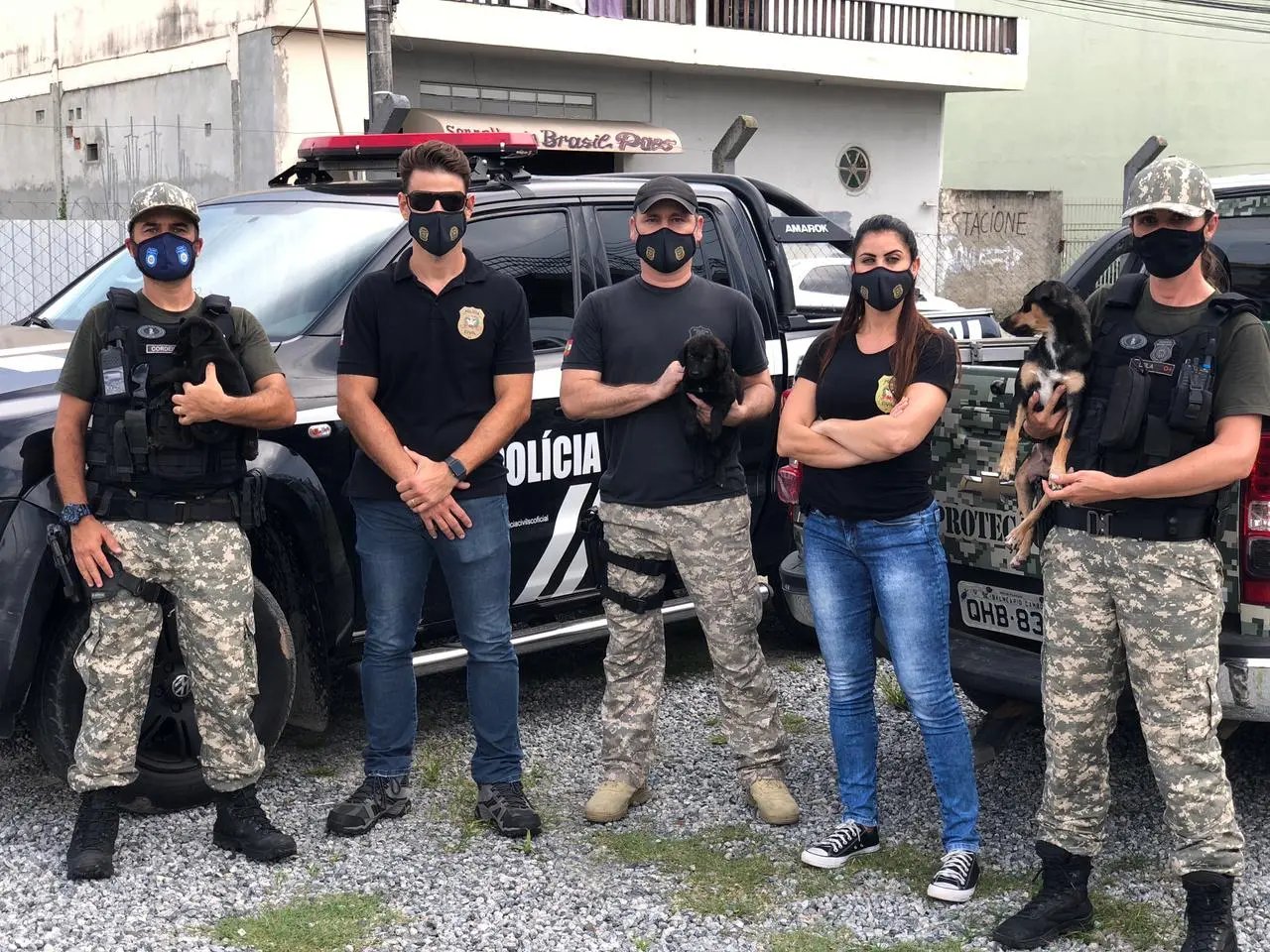 Policia Civil apreende mala com filhotes de c&atilde;es