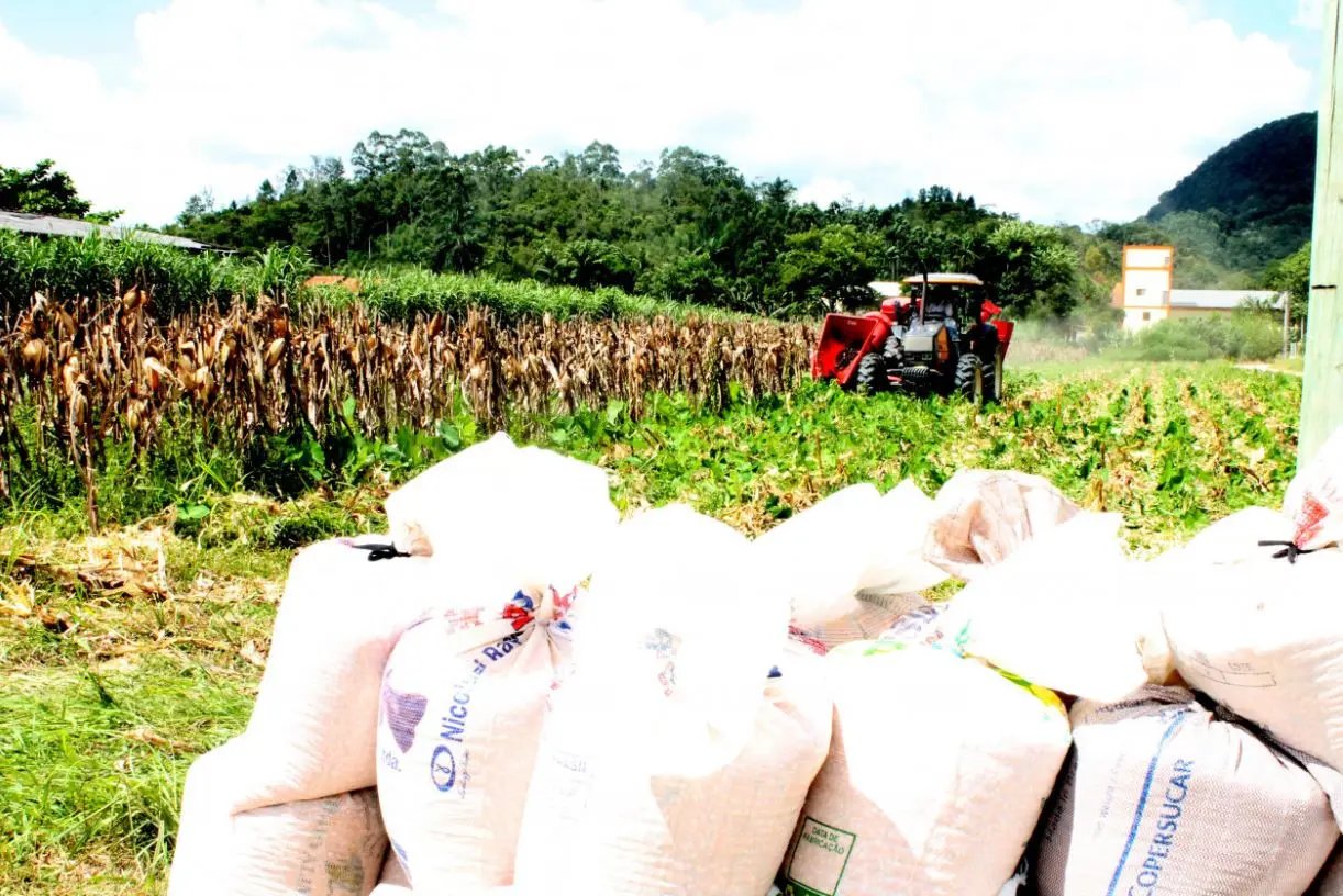 Agricultores t&ecirc;m at&eacute; 30 de junho para solicitarem adubo e ureia