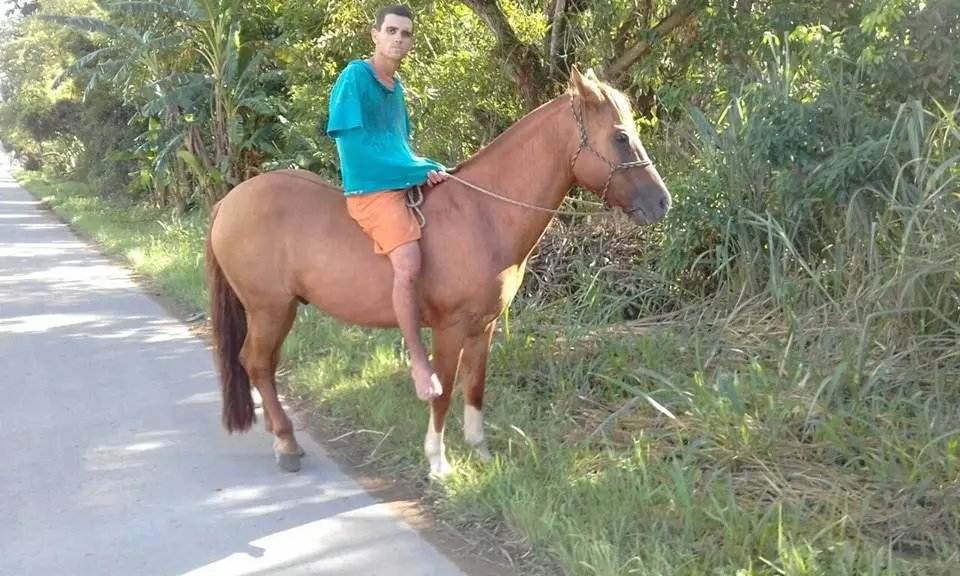 Foragido de presídio é localizado na BR 470 algemado e em cima de um cavalo roubado