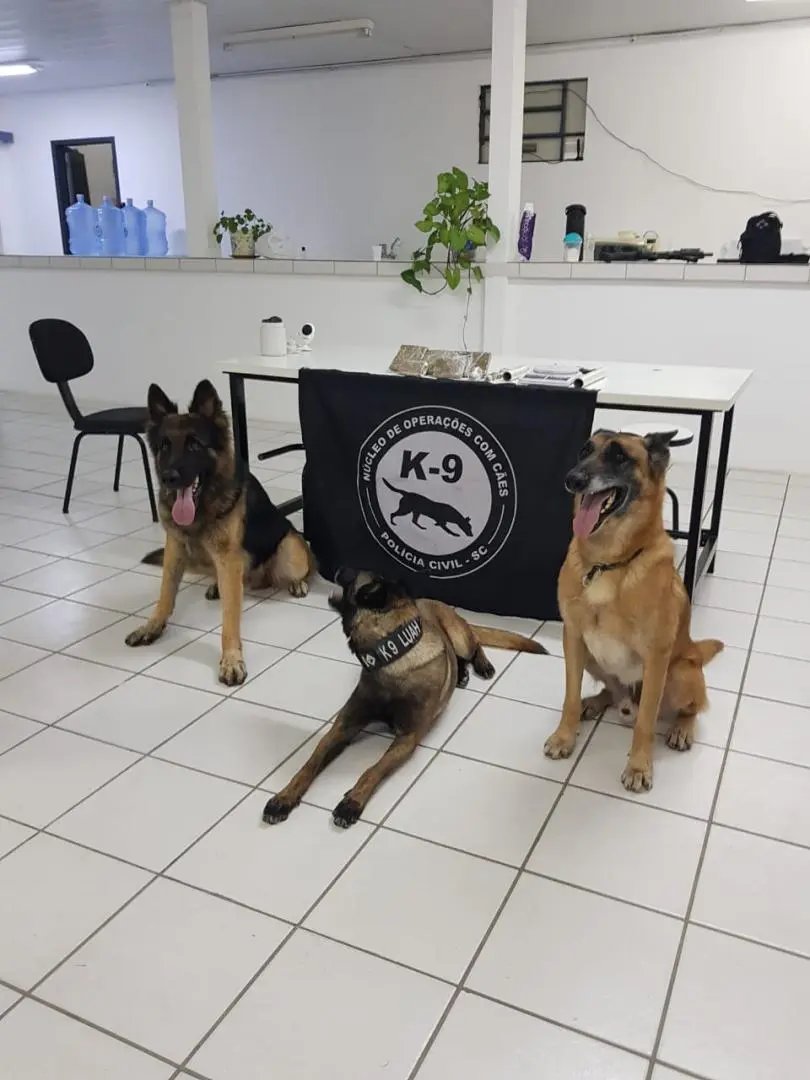 Pol&iacute;cia Civil apreende maconha e coca&iacute;na 