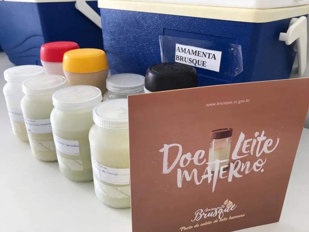Amamenta Brusque celebra mais um Dia Internacional da Doa&ccedil;&atilde;o de Leite Humano