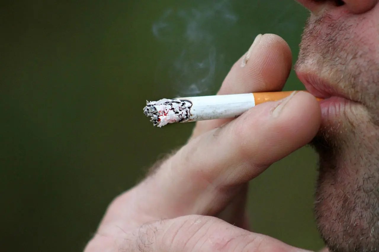 Projeto de lei pro&iacute;be fumar em parques e tem multa de R$ 840